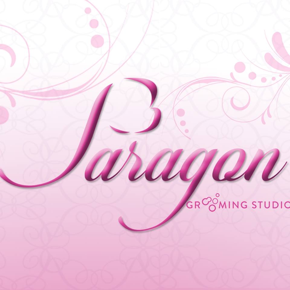 Paragon Grooming Studio - Šišanje