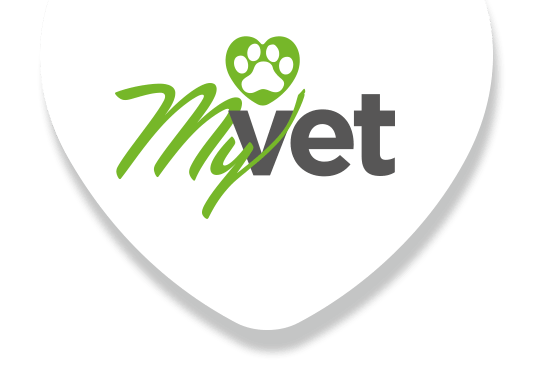 My Vet veterinarska ordinacija