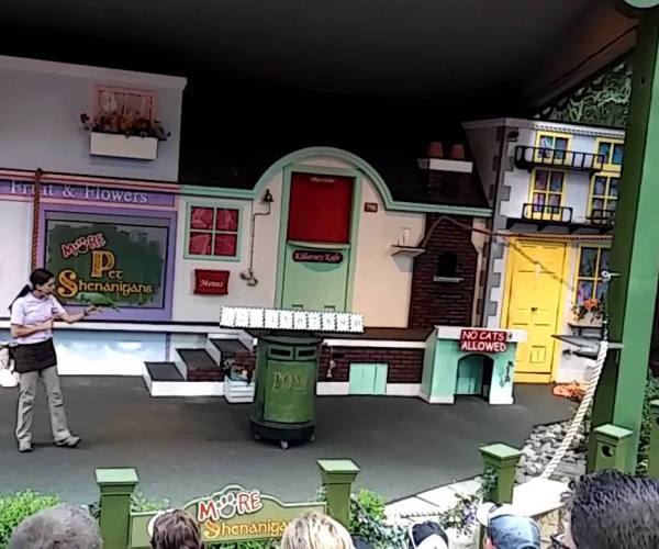 Ostalo Pet-show
