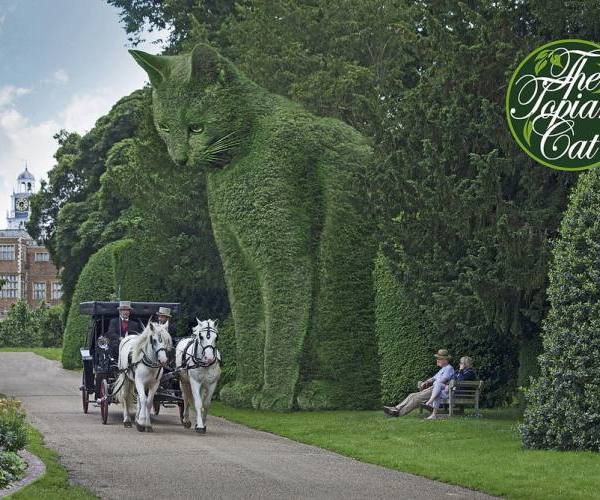Topiary cat